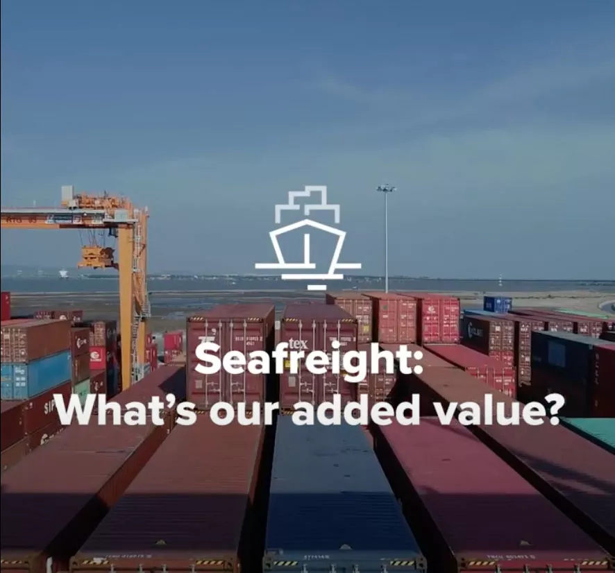 Video Sea Freight