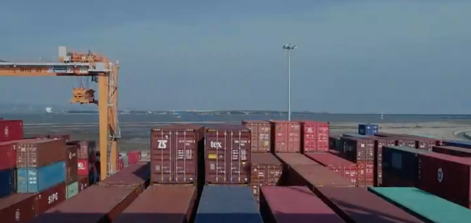 Video Sea Freight